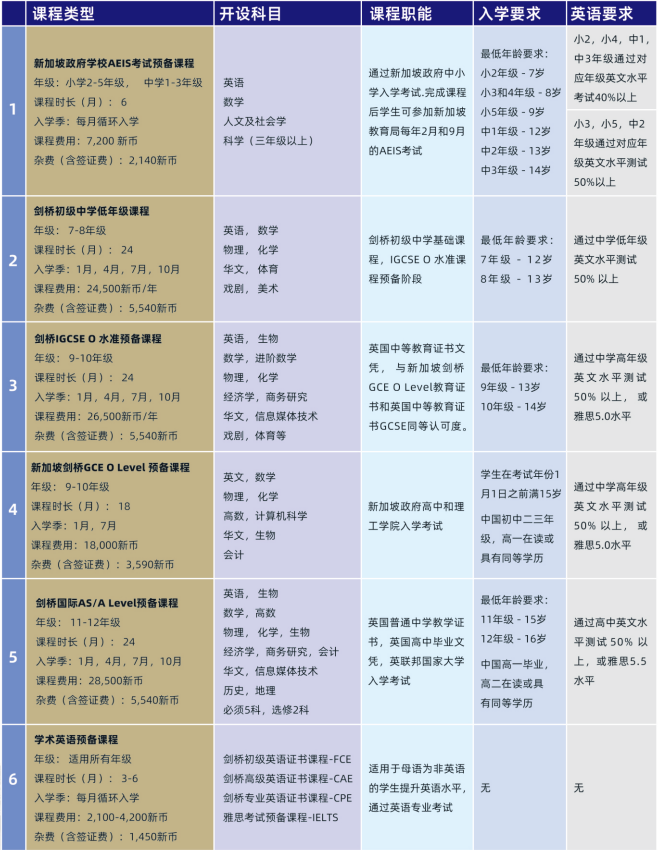 新加坡低龄留学择校全攻略：选对高中赛道，直通世界名校！
